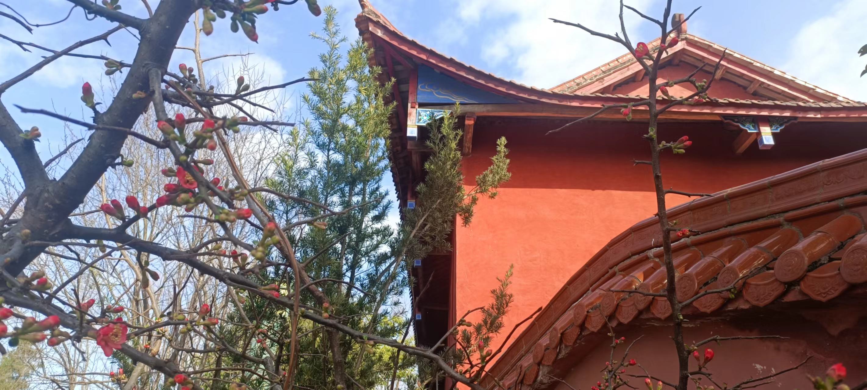 2024年第一季度总结